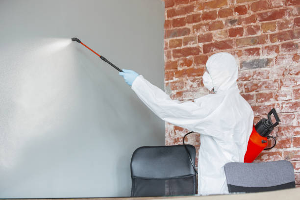 Best Environmental Consulting for Mold Prevention  in Erma, NJ