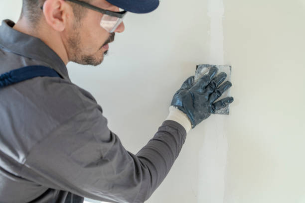 Best Mold Removal for HVAC Installations  in Erma, NJ