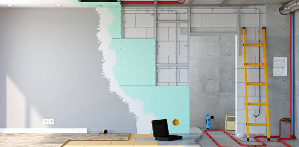Trusted Erma, NJ Mold Removal Experts