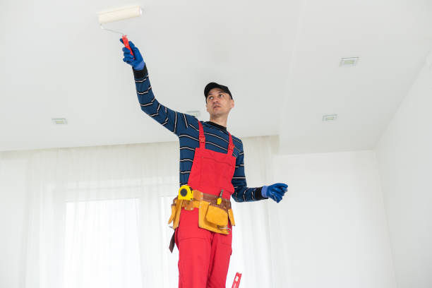 Best Mold Odor Removal Services  in Erma, NJ