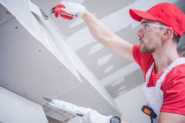 Best Real Estate Mold Inspection  in Erma, NJ