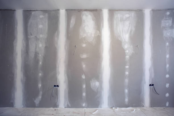 Mold Documentation for Insurance Claims in Erma, NJ